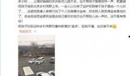 罗芳前夫爆料视频,婚姻真相曝光